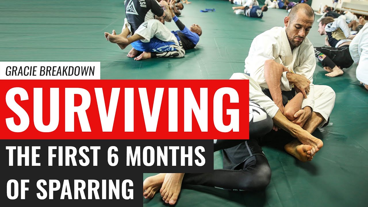 Surviving the First 6 Months of Sparring (Gracie Breakdown)