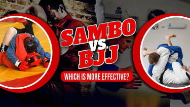sambo vs. bjj