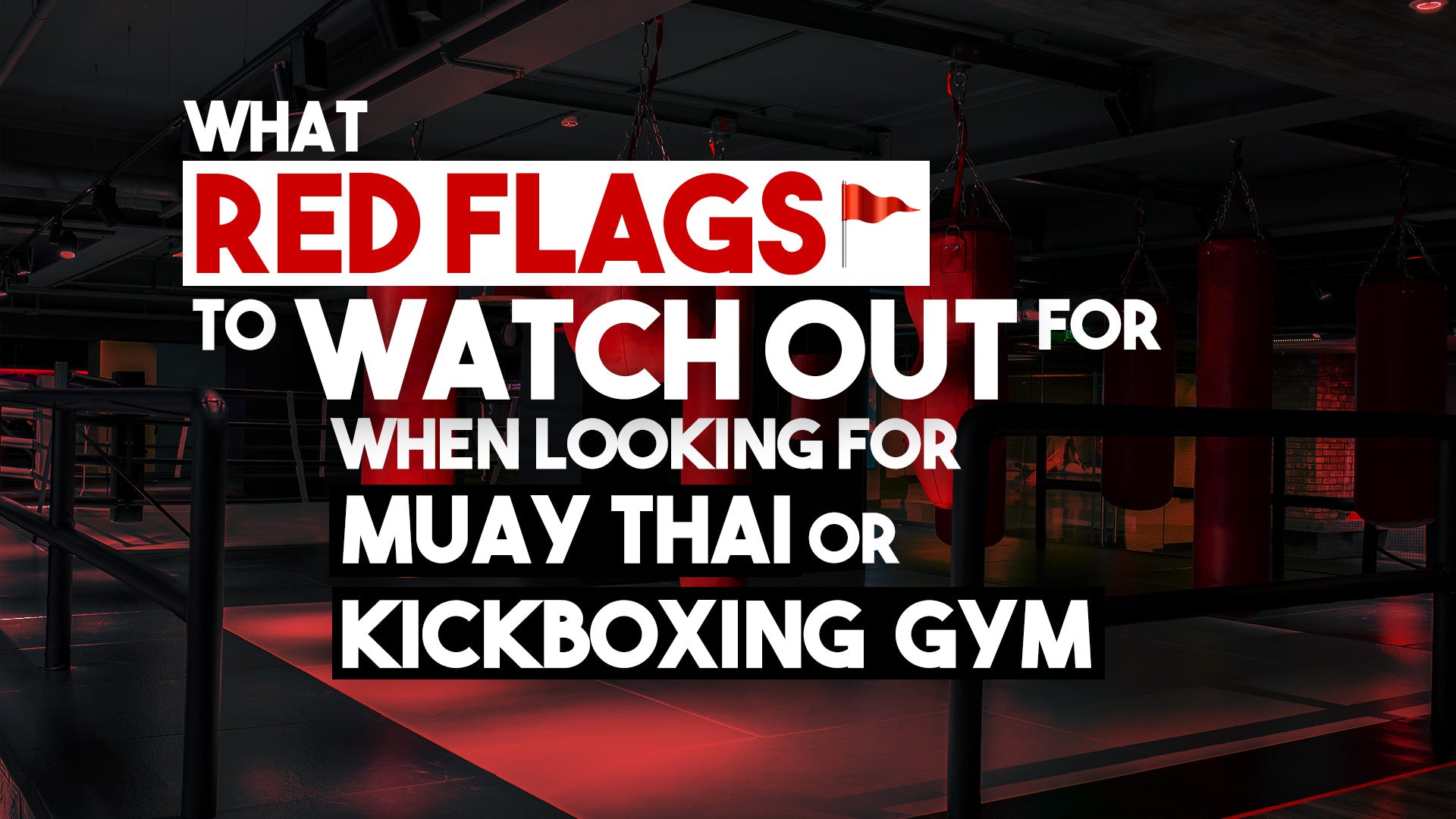 What Red Flags to Watch Out for When Looking for Muay Thai or Kickboxing Gym