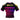 10th Planet Miami BJJ Rash Guard XMARTIAL