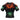 10th Planet Orange Park  BJJ Rash Guard XMARTIAL