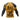 No Escape BJJ Rash Guard XMARTIAL